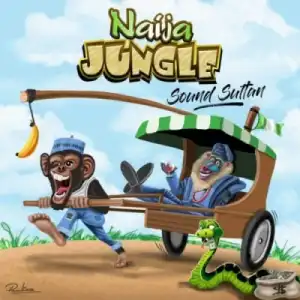 Sound Sultan - Naija Jungle